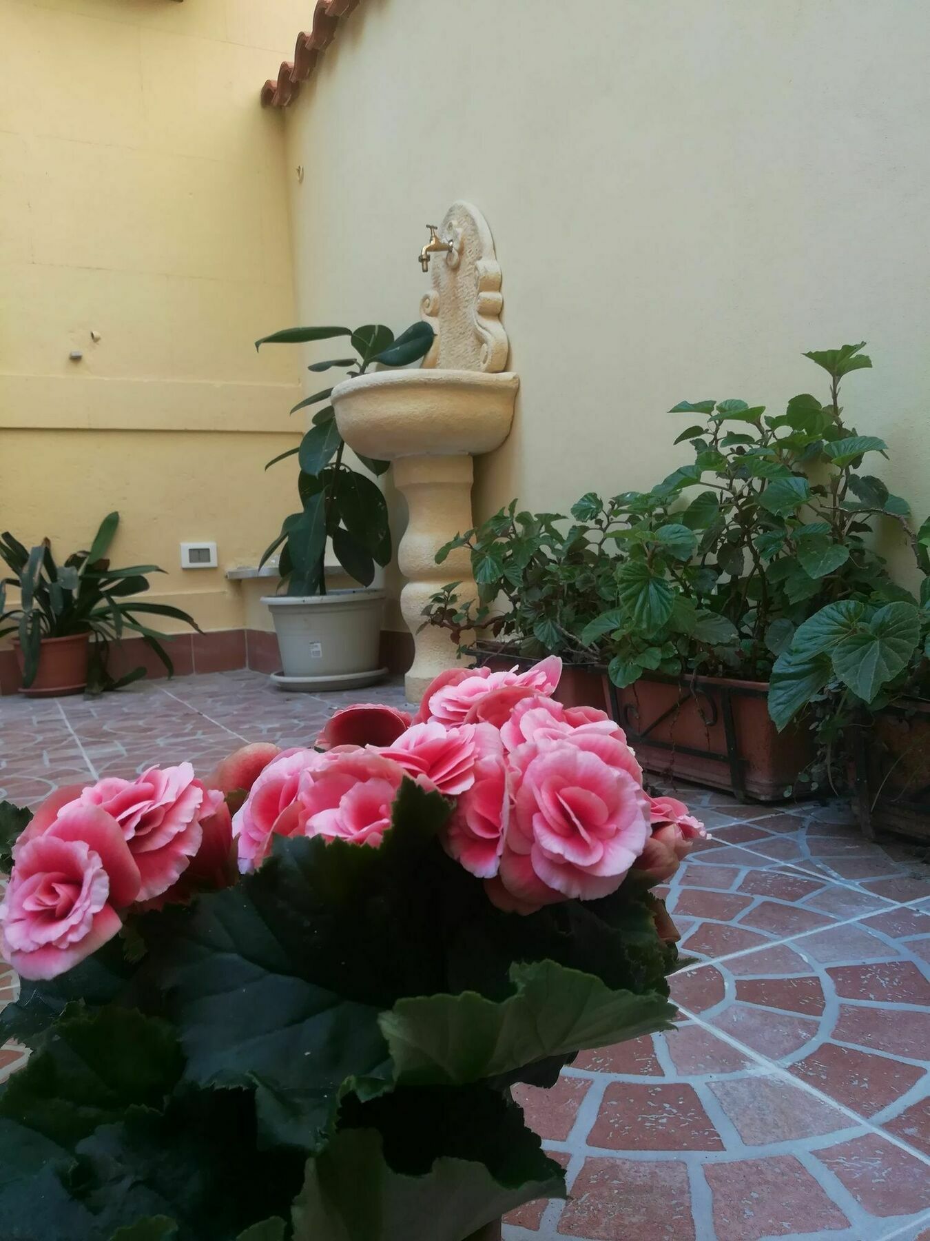 Le Rose Del Viale Bed & Breakfast Palermo Exterior photo