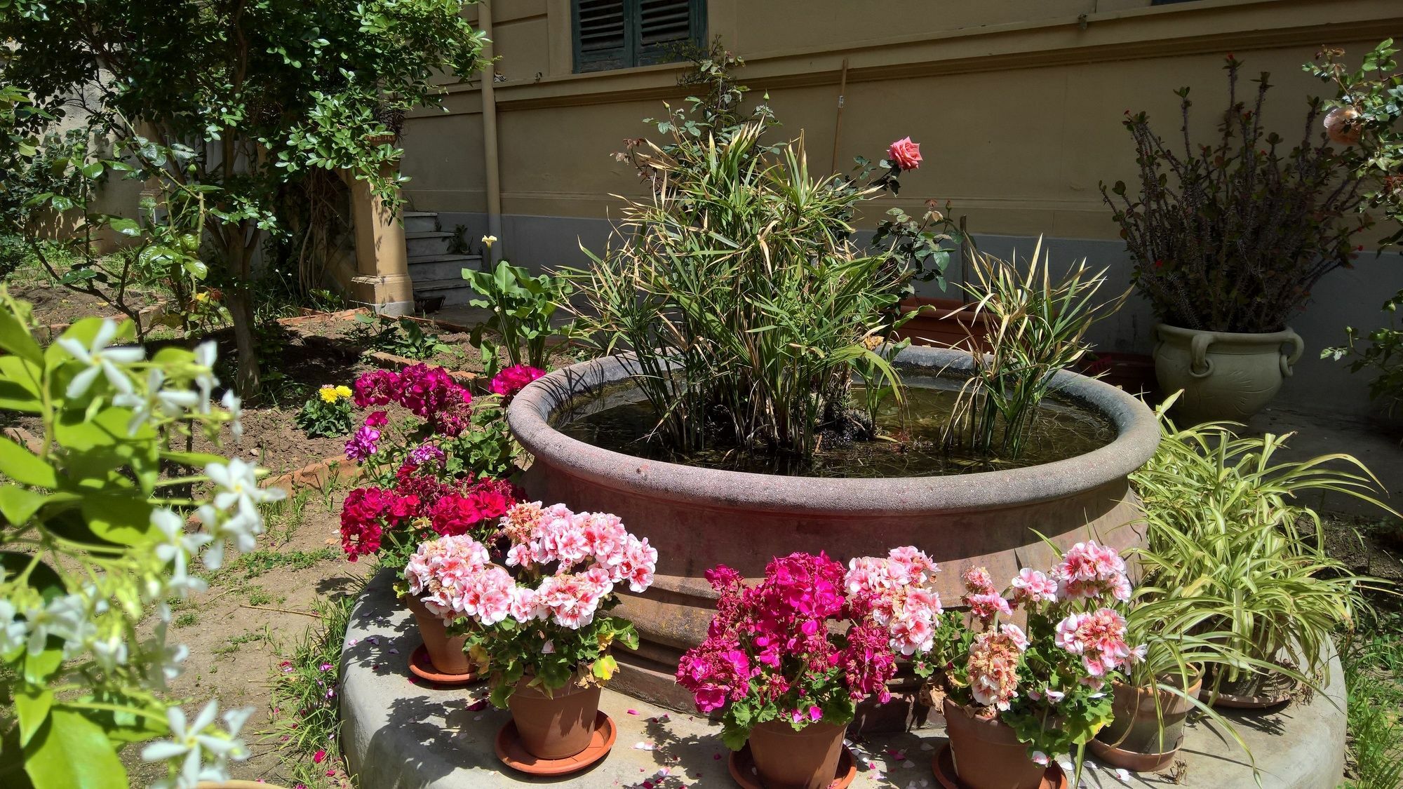 Le Rose Del Viale Bed & Breakfast Palermo Exterior photo